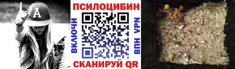 где купить наркоту Всеволожск Псилоцибиновые грибы мухоморы