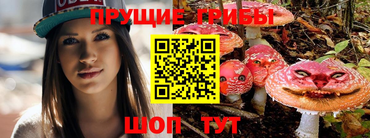 Галлюциногенные грибы ЛСД Всеволожск